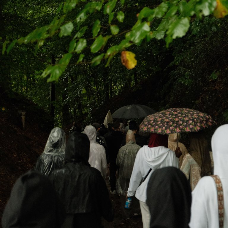 People in raincoats walking through the forest, back facing camera