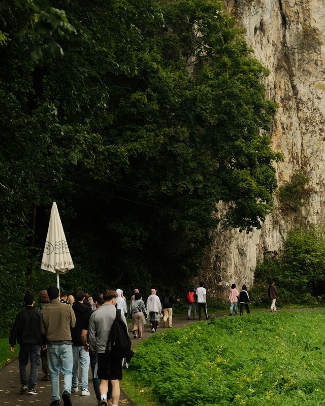 Group walking down a path in a natural reserve